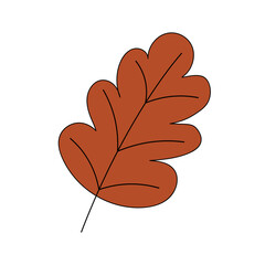 Brown oak autumn leaf vector illustration isolated on white background in cartoon style