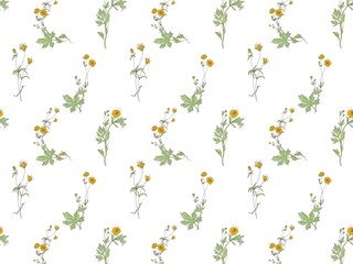 floral pattern with buttercup flowers