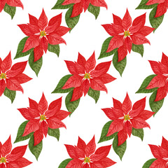 Watercolor pattern, colorful poinsettia on a white background. Festive pattern for Christmas and New Year products.