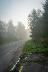 Foggy morning rural road