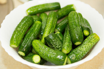 Small, beautiful organic cucumbers are washed and lying in a deep dish waiting to be canned