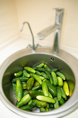 Small cucumbers are washed in the kitchen sink
