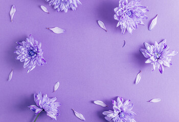 Obraz na płótnie Canvas Floral pattern with purple chrysanthemum flowers on lilac trendy background.