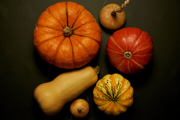 Kürbisgemüse vor schwarzem Hintergrund