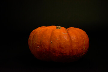 Kürbis vor schwarzem Hintergrund