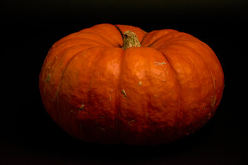 Kürbis vor schwarzem Hintergrund