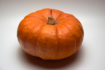 Kürbis vor weißem Hintergrund
