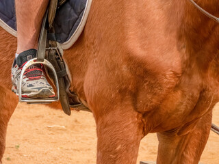 Detail of foot in stirrup. A man wears tennis shoes instead of riding boots.