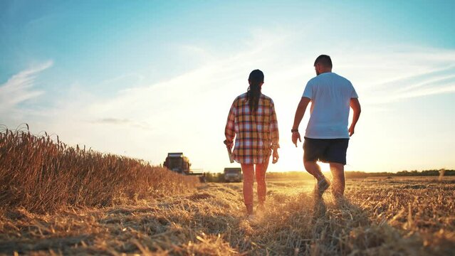 Rear view engineer woman with digital tablet and farmer man walking in wheat field after harvesting. Teamwork in agribusiness. Agricultural production industry with help machinery. Rural countryside.