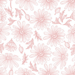 Fototapeta na wymiar Garden flower pattern outline hand drawn vector. Floral seamless