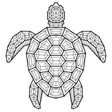 Line art geometric turtle illustration