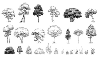 Plant tree forest icon set outline, hand drawn vector. Garden drawing