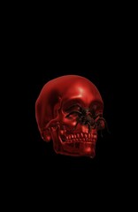 skull and crossbones