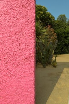 Vertical shot of Luis Barragan's equestrian estate with a pink wall, cactus, and sandy ground