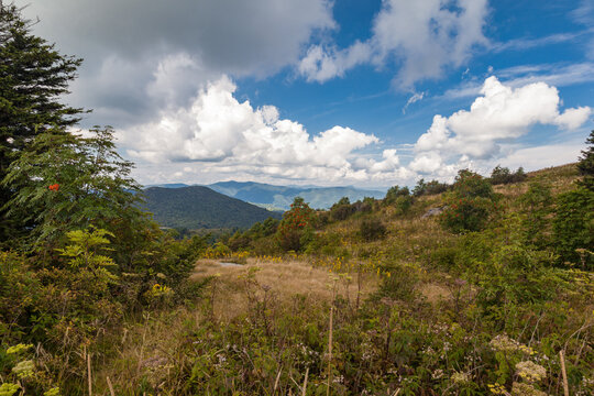 Black Balsam and Graveyard Fields in Pisgah National Forest on the Blue Ridge Parkway