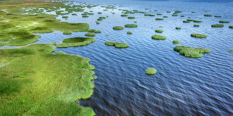 Islands of reeds and blue water on the marshy sea shore