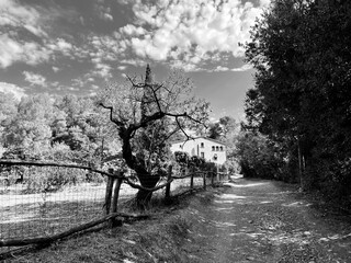 Molins de Rei