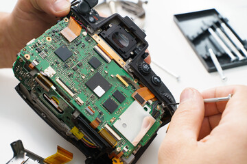 Fototapete bei efototapeten.de bestellen   