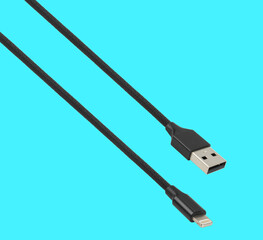 cable with USB connector and Lightning USB, on a blue background