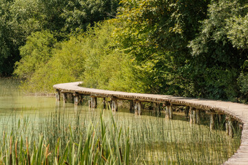 Long wooden footbridge over lake for tourists. Idyllic lake surface overgrown with reeds surrounded by forestry hilly slopes on Plitvice lakes