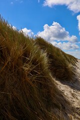 Dänemark an der Nordsee mit Strand, Dünen und Landschaft