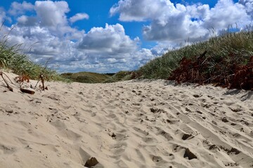 Dänemark an der Nordsee mit Strand, Dünen und Landschaft