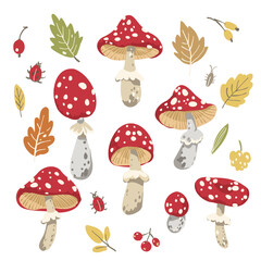 Poisonous mushroom, red caps amanita, fly agaric. Autumn forest leaves and fungus cute hand drawn vector set. Colorful seasonal print design.