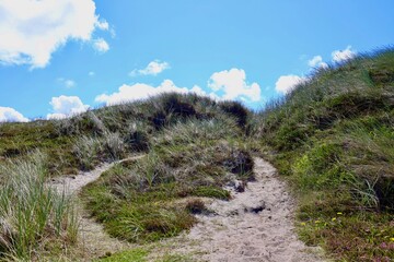 Dänemark an der Nordsee mit Strand, Dünen und Landschaft