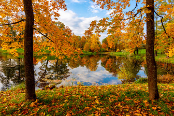 Alexander park in autumn, Pushkin (Tsarskoe Selo), Saint Petersburg, Russia