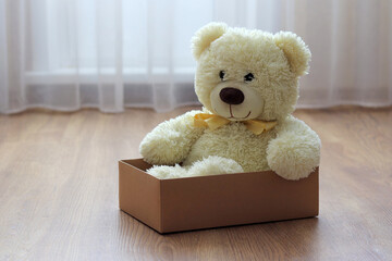 A white teddy bear sits in a cardboard box for a gift