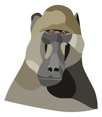 Baboon ape head portrait illustration in graphic style