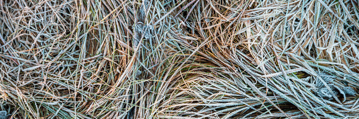 The grass is covered with frost. Beautiful natural background with hoarfrost on the grass. Ground texture with frozen meadow plants. Rime ice on blades of grass during frosts. Cold weather.