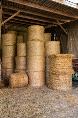 Ballots de paille stock&eacute;s dans le batiment stabulation