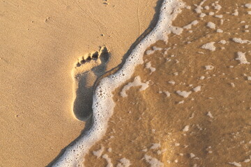 Fototapeta na wymiar a footprint in the sand on the North Sea coast