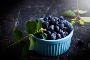 Fresh blueberries on a dark background