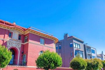 Houses with painted stucco walls and trees at the front in San Francisco, CA