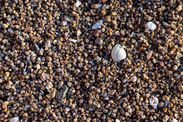 texture background nature natural places