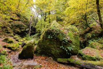 Rocks overgrown with moss in Little Switzerland, Luxembourg