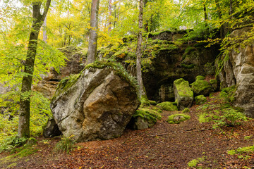 Rocks overgrown with moss in Little Switzerland, Luxembourg