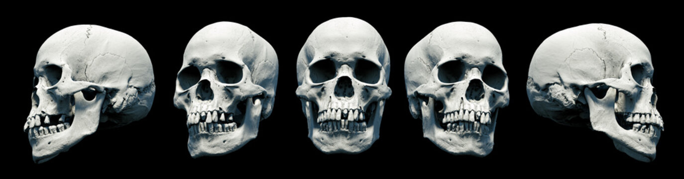 Set Human skulls with an close lower jaw on a Black isolated background. Kit. The concept of death, immortality, eternal life, horror. Acult symbol. Spooky Halloween symbol. 3D render