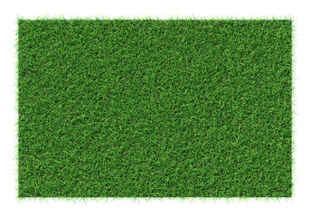 Grass shape - design element isolated - 3d rendering