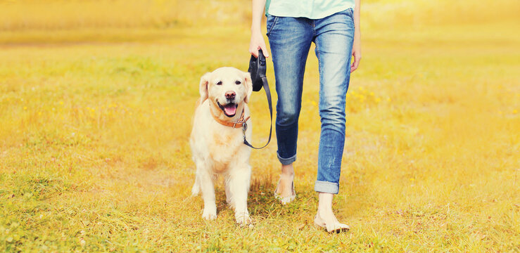 Owner woman walking with her Golden Retriever dog on leash in autumn park