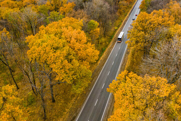 bus driving on an asphalt road through the autumn forest. Drone photo  aerial view