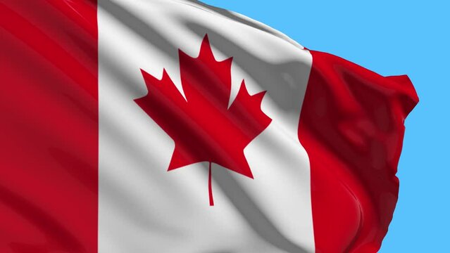 Canada Flag Flying Images & Videos
