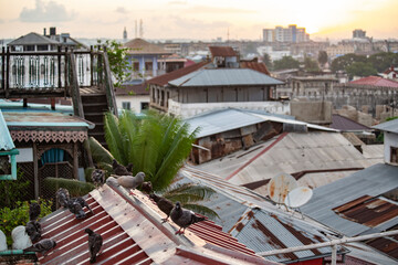 Roofs of Stone Town, Zanzibar. Aerial view of Zanzibar old town, Tanzania