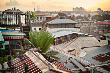 Fototapeta na wymiar Roofs of Stone Town, Zanzibar. Aerial view of Zanzibar old town, Tanzania