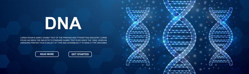 DNA spiral polygonal horizontal banner. Science low poly symbol for head promotion banner. Genetic helix design template illustration concept.
