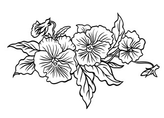 Pansies horizontal vignette, black and white graphic illustration.