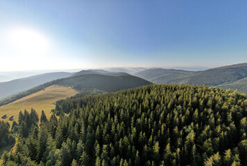 Fototapeta premium Beautiful morning landscape. Coniferous forest covers mountain hills. Forested hills in rising fog. Mountain sunrise hills. Breathtaking aerial view of the tall mountains covered by the forest. 