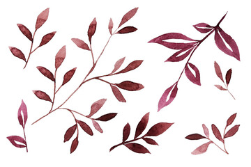 Painted watercolor branches. Monochrome set of watercolor elements for decor. Branches in one flower. Elements for creating patterns. Watercolor texture. Wedding. Invitations. Holidays.